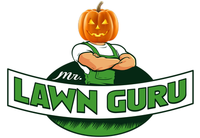 Mr Lawn Guru Grass Slashing
