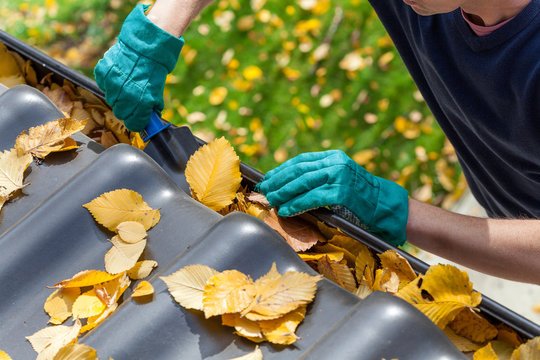 Gutter Cleaning Service