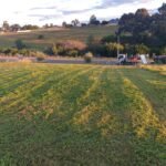 Slashing Vacant Blocks