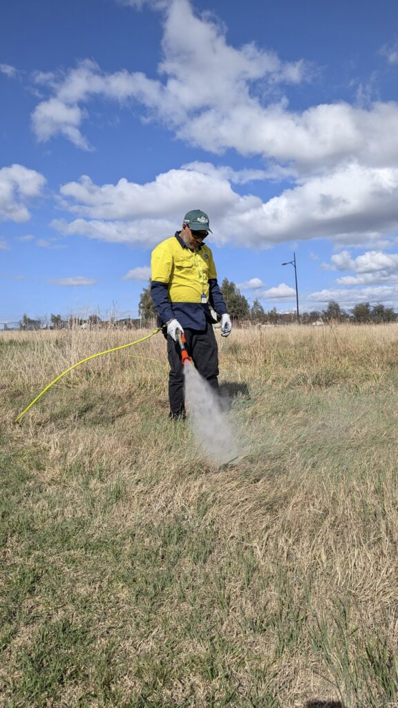 Weed Control Spraying - Mr Lawn Guru