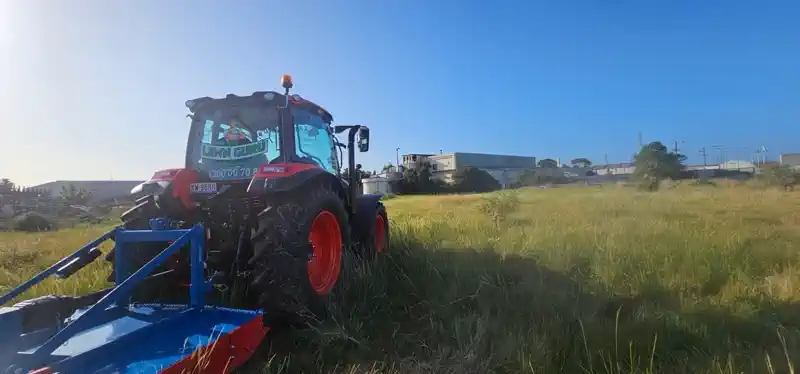 Paddock Slashing - Mr Lawn Guru