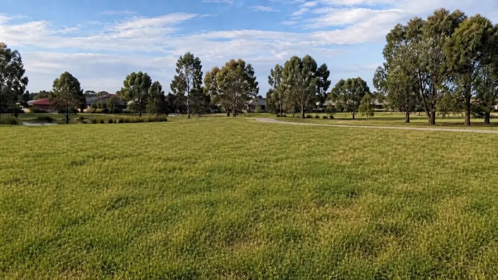 Tractor Grass Slashing - Mr Lawn Guru