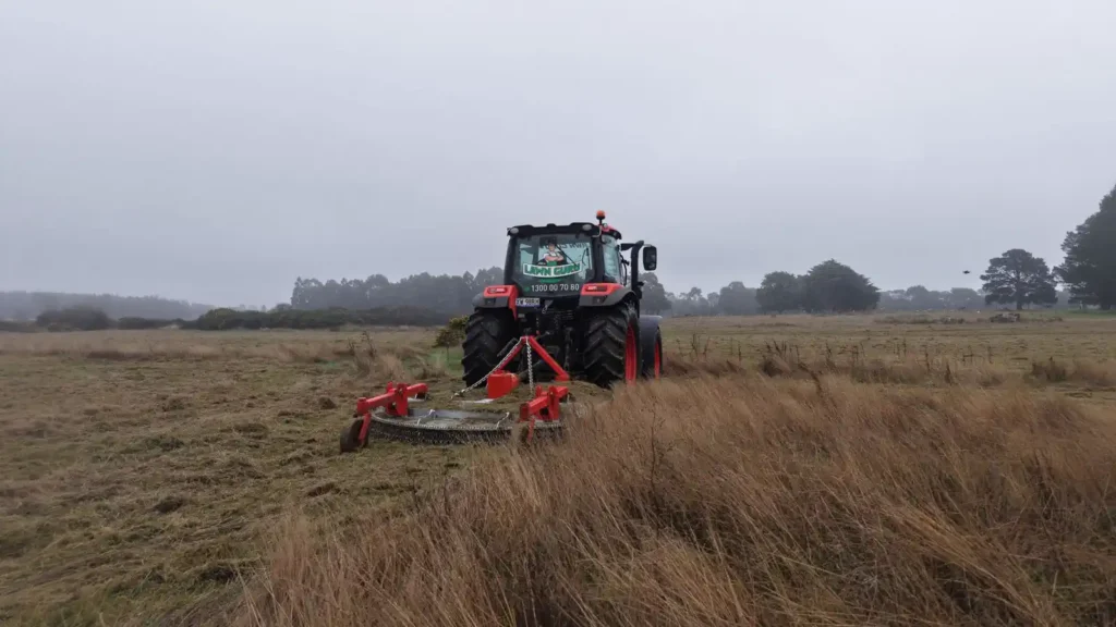 Grass Slashing Service - Mr Lawn Guru